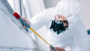 Best Real Estate Pest Inspections  in Village Of Oak Creek, AZ